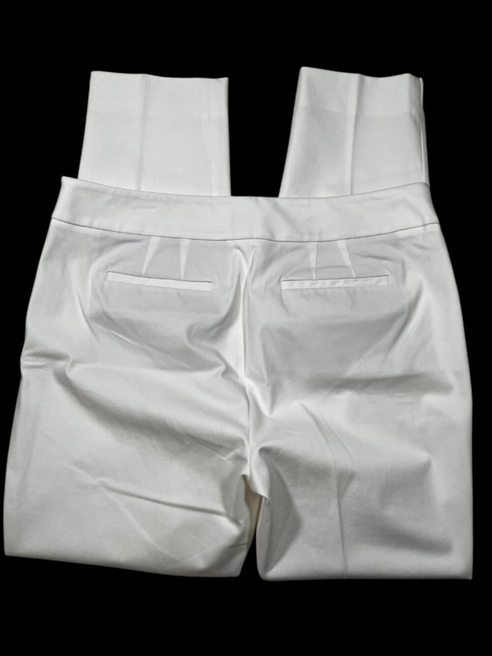 Talbots Chatham Side zip Ankle Pants Women’s size 12 - Picture 2 of 3
